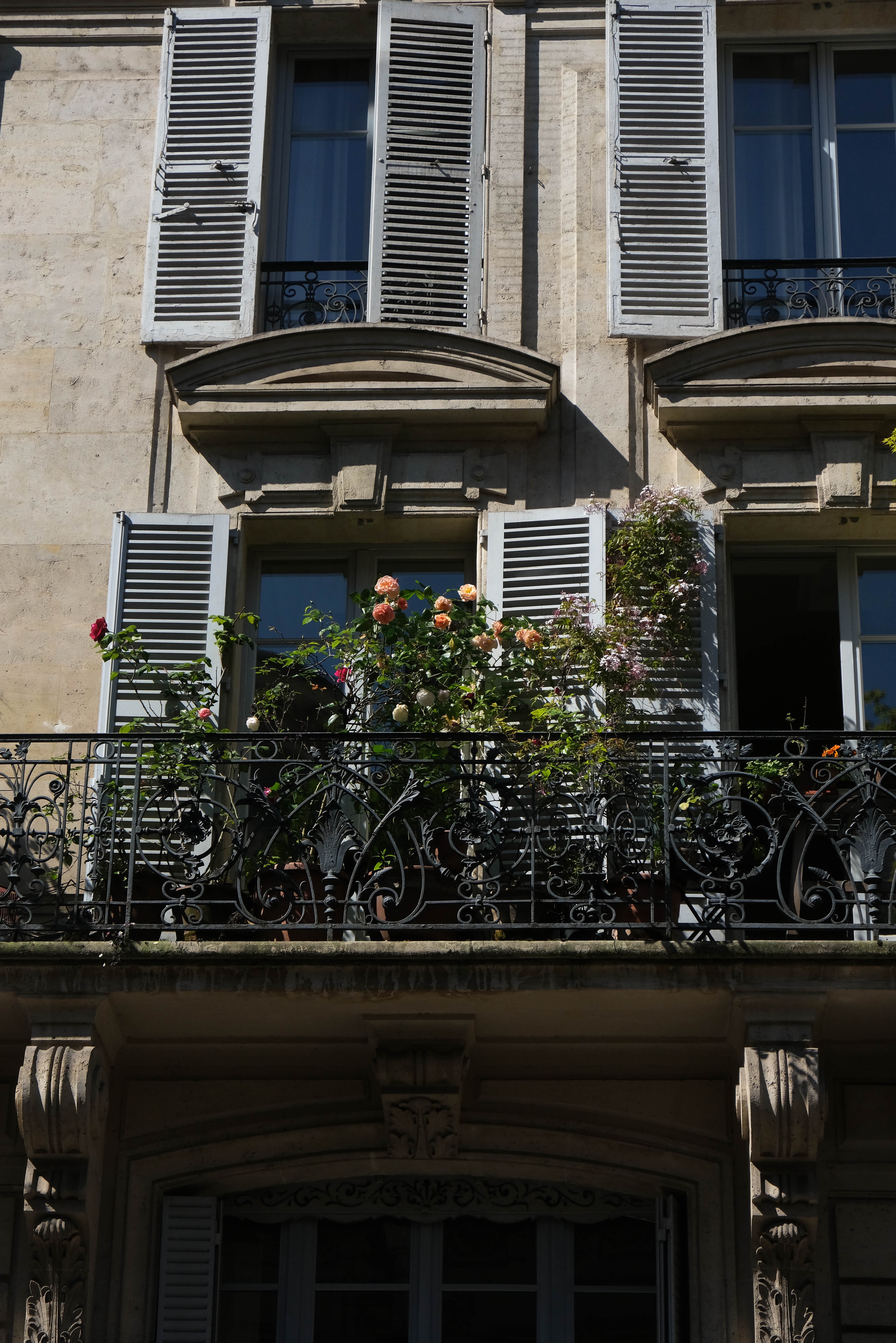 Paris balcony in spring